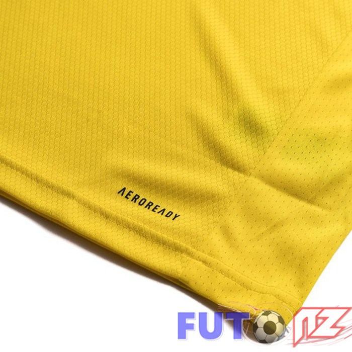 Camiseta Nacional Suecia Primera 2020/2021
