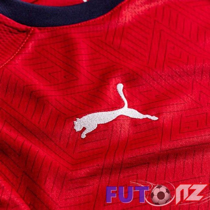 Camiseta Nacional Tchéquie Primera 2020/2021